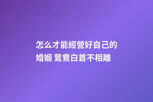怎么才能經營好自己的婚姻 鴛鴦白首不相離